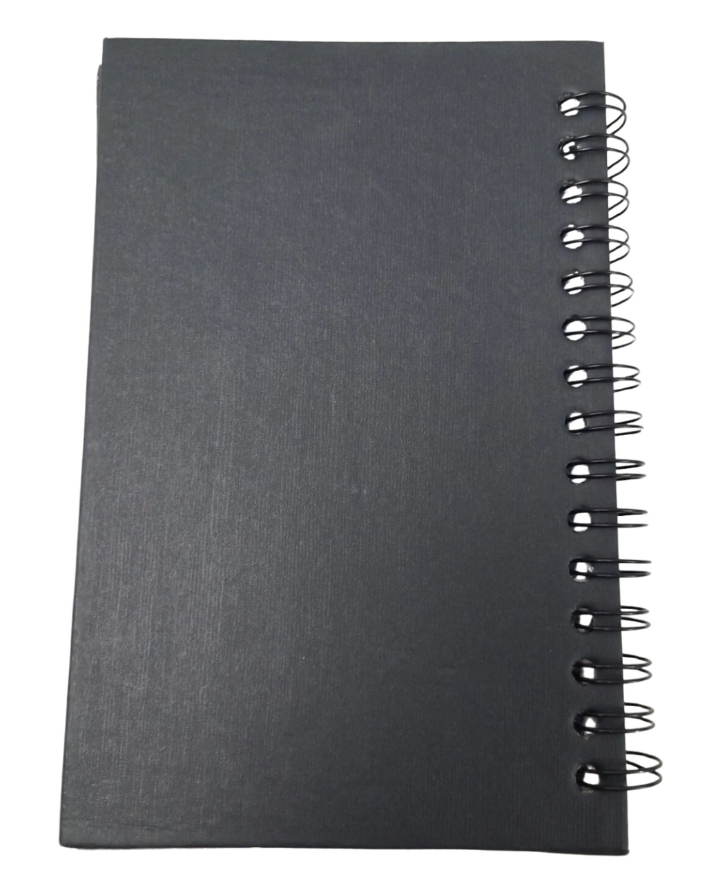 Resin Journal Flying Dragon With Blue Gem