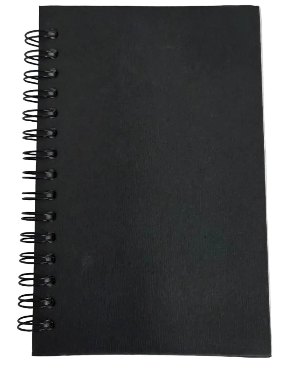 Resin Journal Dragon Holding a Blue Gemstone