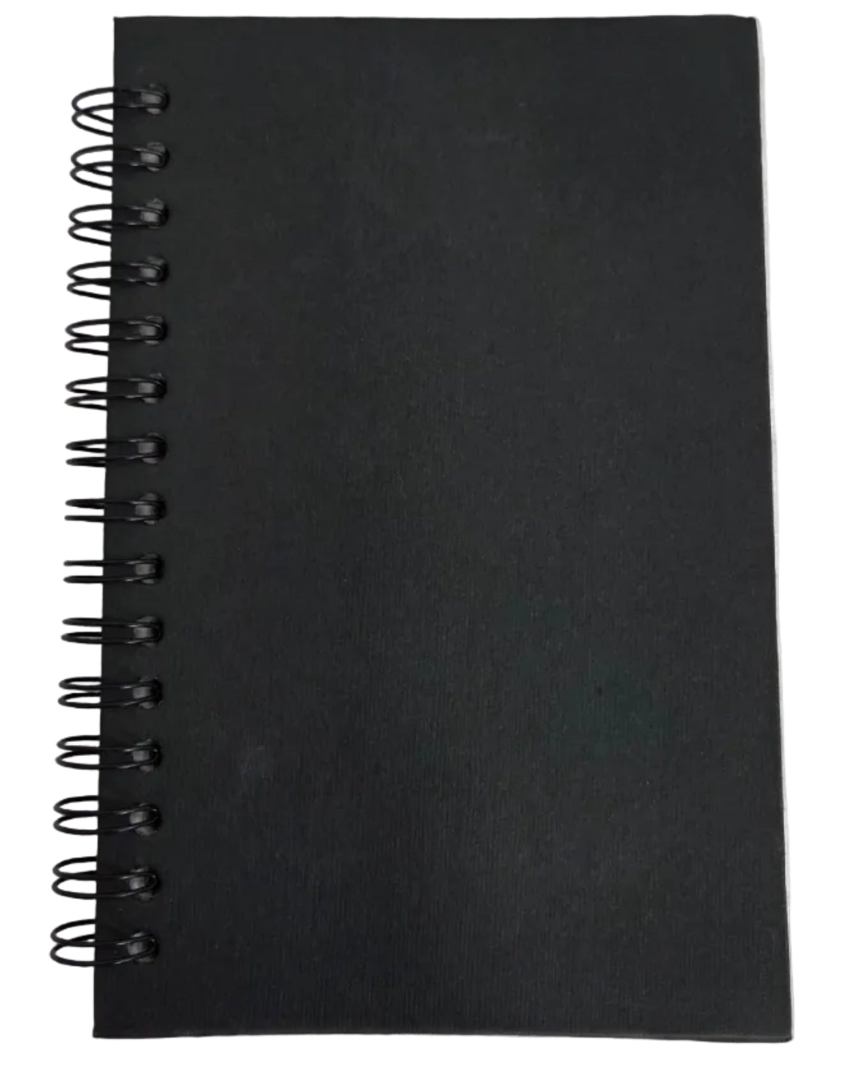 Resin Journal Dragon Holding a Blue Gemstone